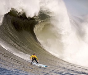 模仿帝匠心复刻姚明经典时刻 网络热潮掀起篮球文化新致敬