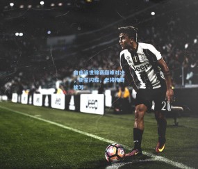 自由泳世锦赛巅峰对决，新星闪耀，老将传奇续写